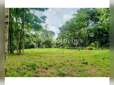 Land · For sale
